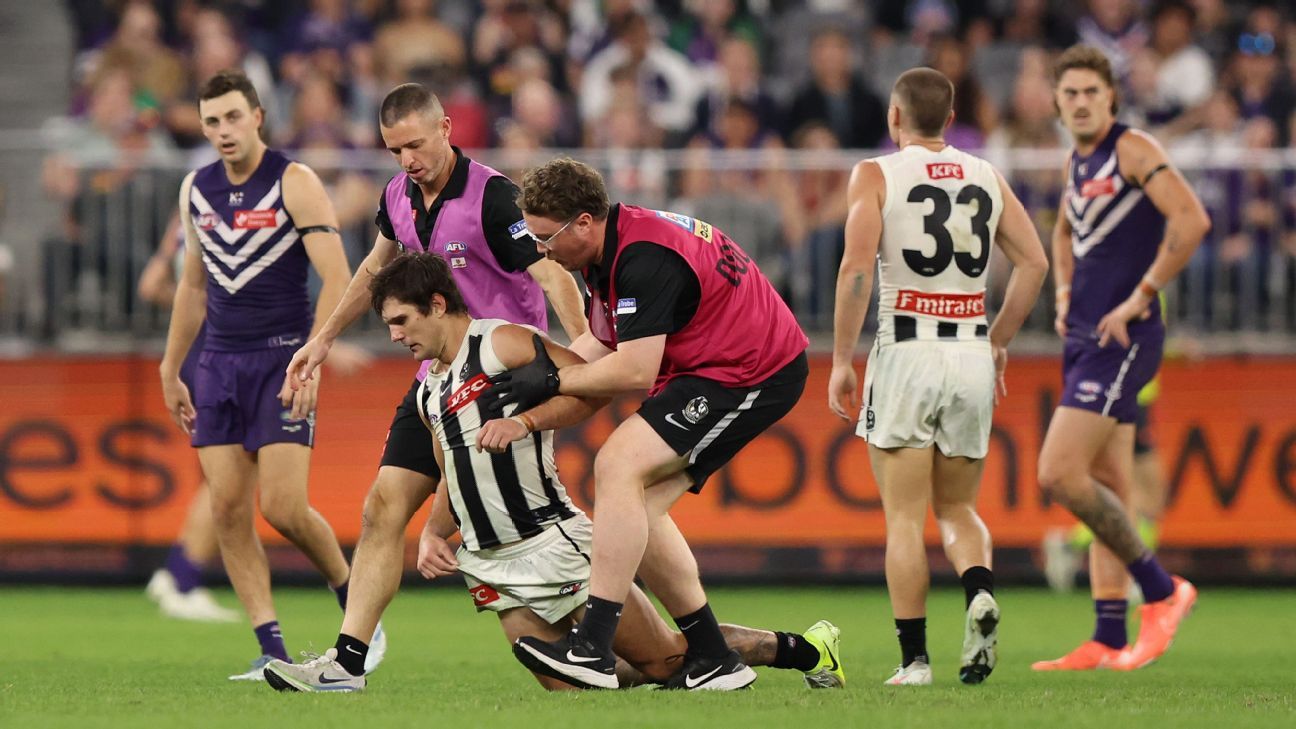 Pies: Umps should have stopped game for Schultz