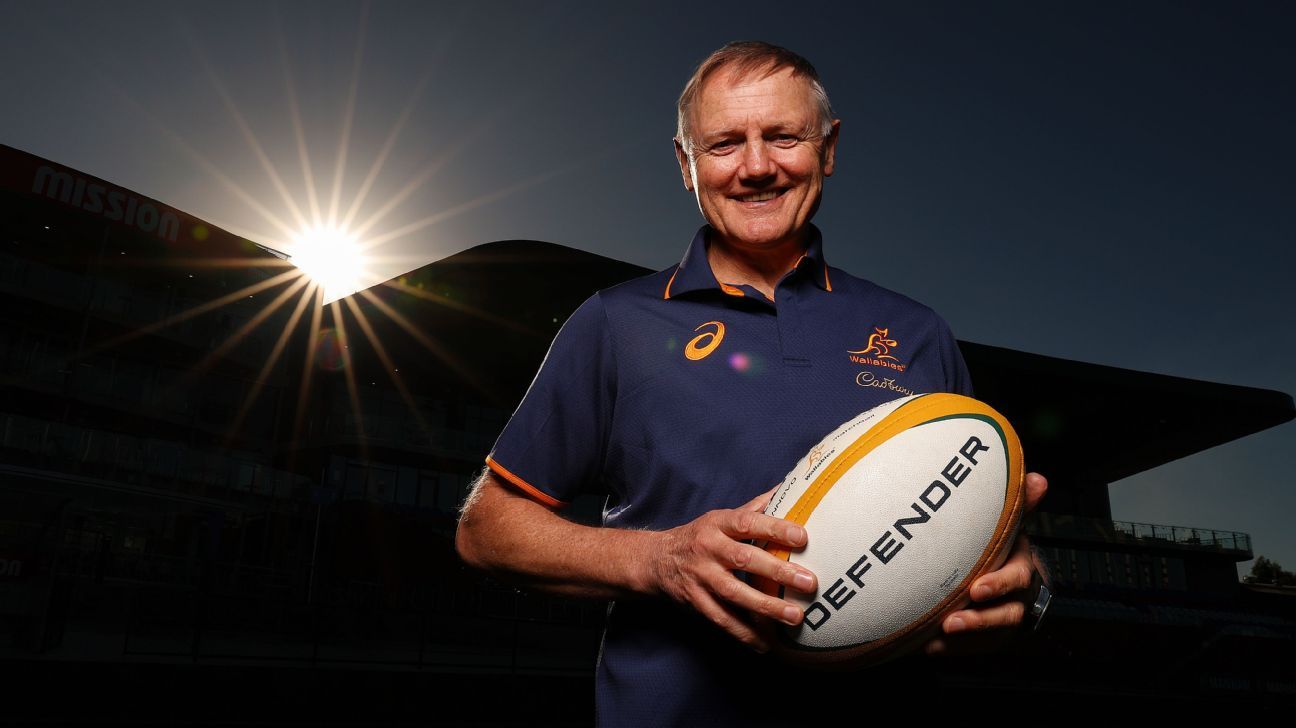 Joe Schmidt