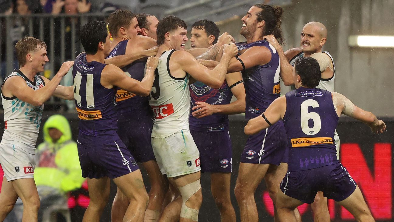 Dockers crush Power but star defender faces AFL ban