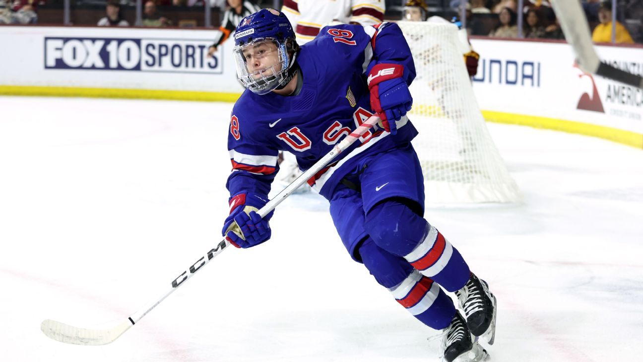 Diamonds in the rough: Late-round gems of the 2025 NHL draft