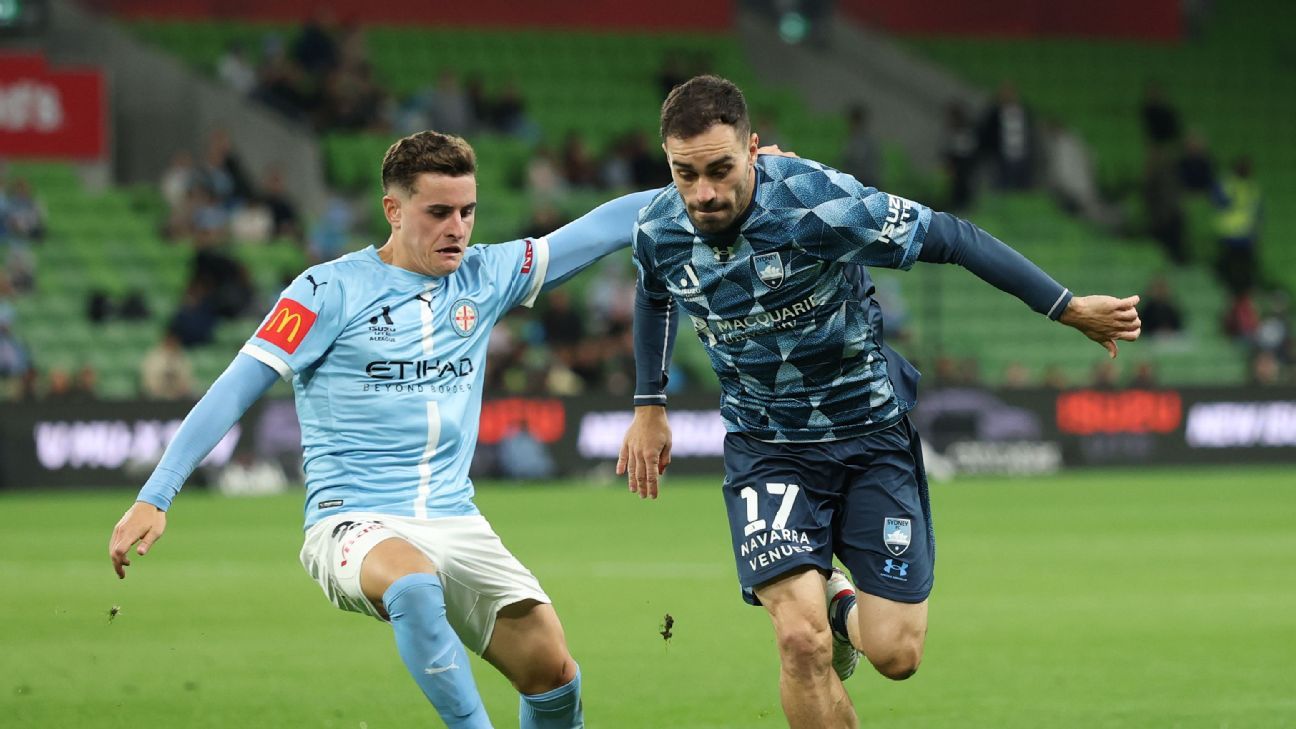 Socceroo departs Sydney FC after contract impasse