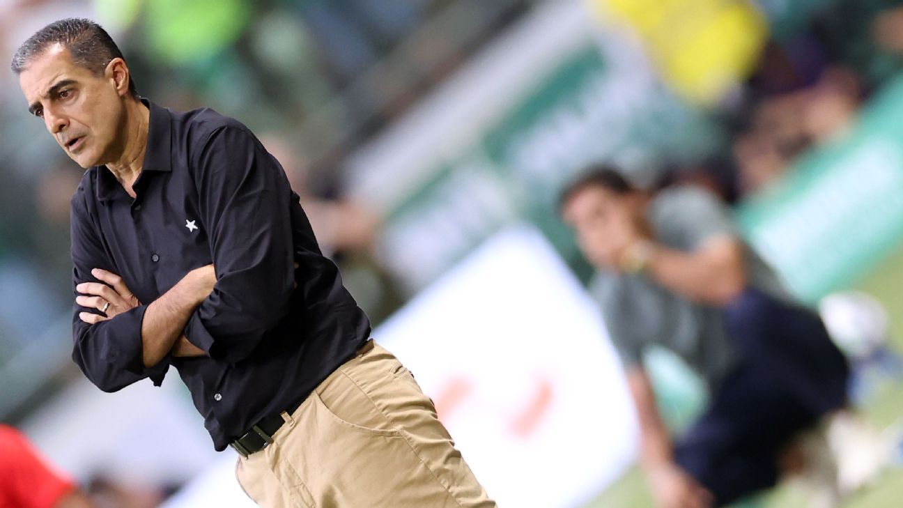 O que mudou em Palmeiras e Botafogo desde o jogo que marcou a estreia de Renato Paiva