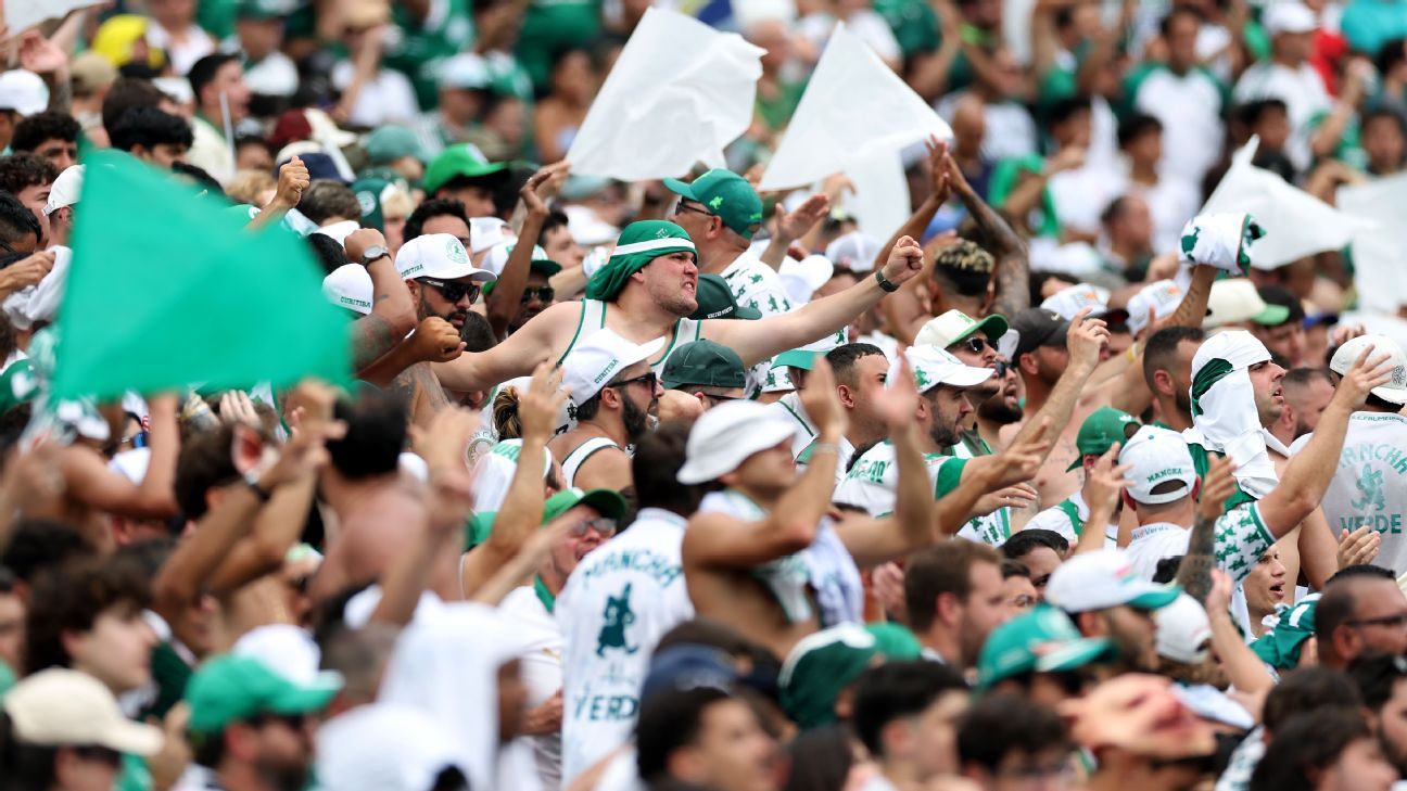 NÃO É LUGAR DE GAMBÁ! Torcedor do Corinthians é expulso do estádio em Palmeiras x Botafogo.