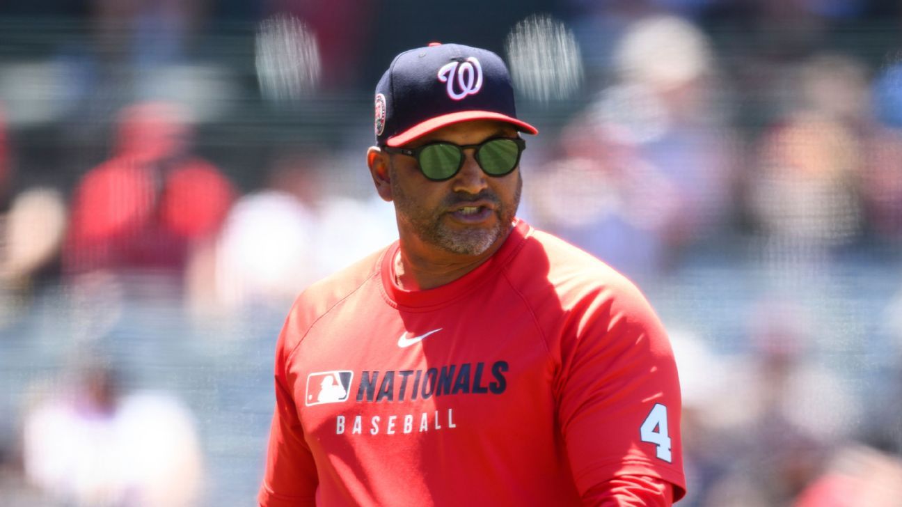 Nats' Martinez ejected after losing replay review