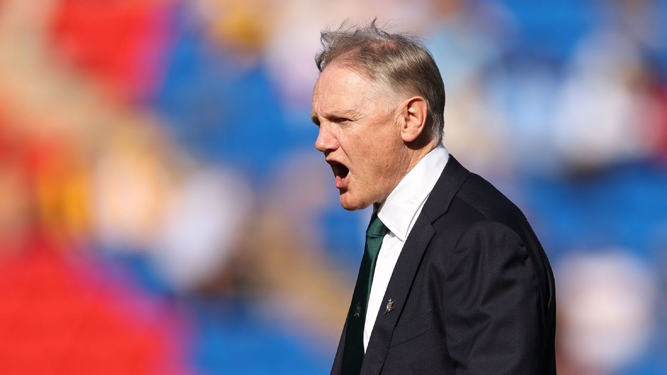 Joe Schmidt liderará a los Wallabies contra el equipo de gira de los British and Irish Lions.