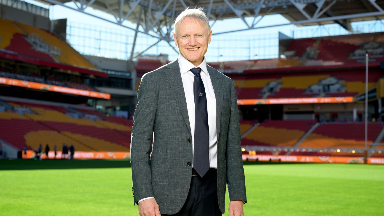 Joe Schmidt was left with no choice but to call on James O'Connor's experience once Noah Lolesio was ruled out of the Lions series