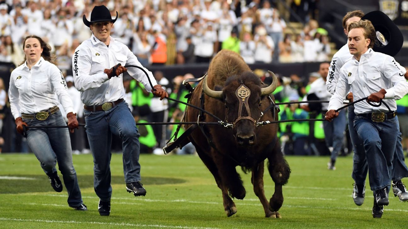 Run is done: Buffaloes' Ralphie VI retires to ranch