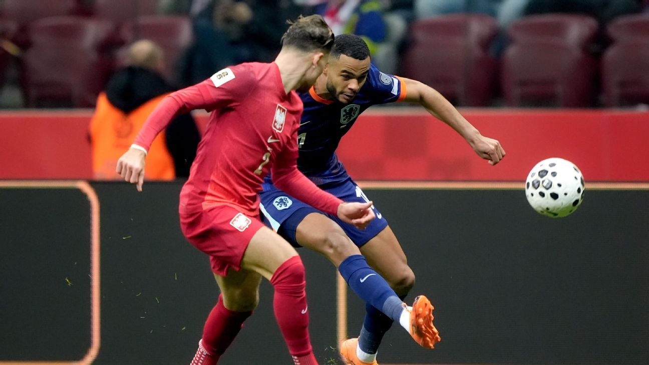 Oranje baalt van zwaarbevochten punt tegen Polen: 