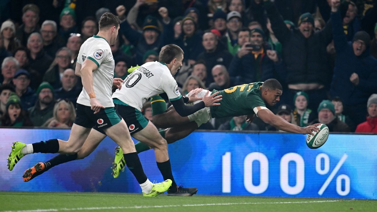 Damian Willemse celebra tras anotar un try para Sudáfrica