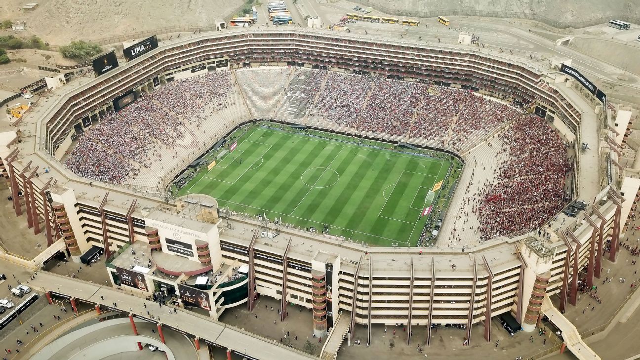 Palmeiras e Flamengo se preparam para a final da Libertadores; gramado padrão FIFA em disputa?