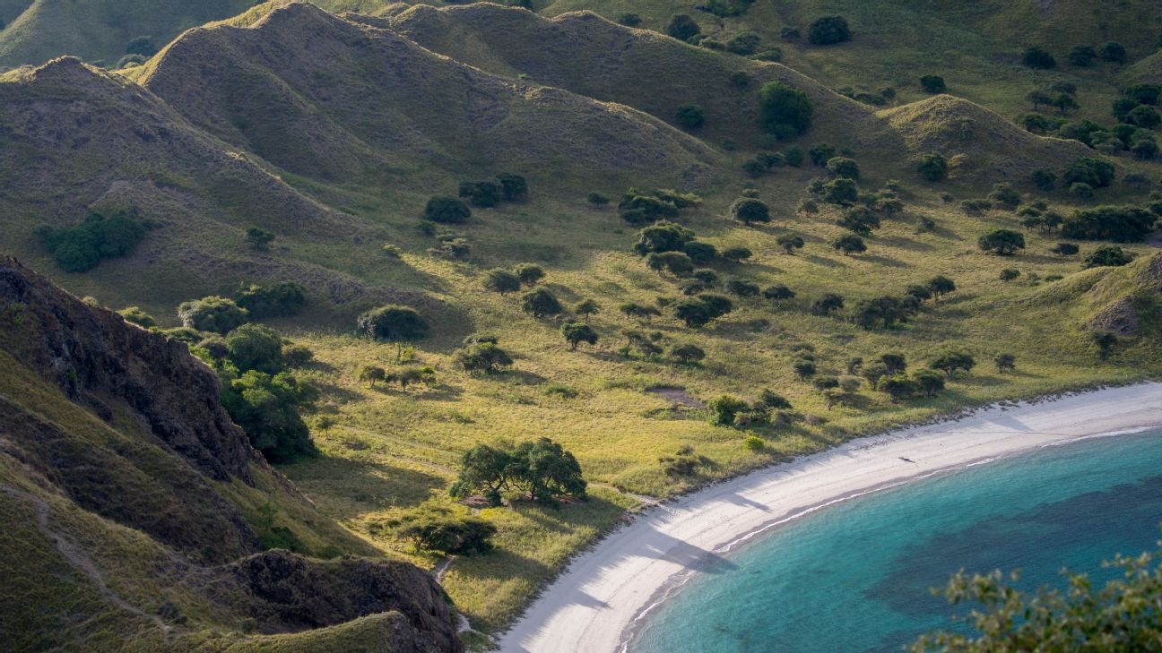 Rescuers find body in search for Spanish coach