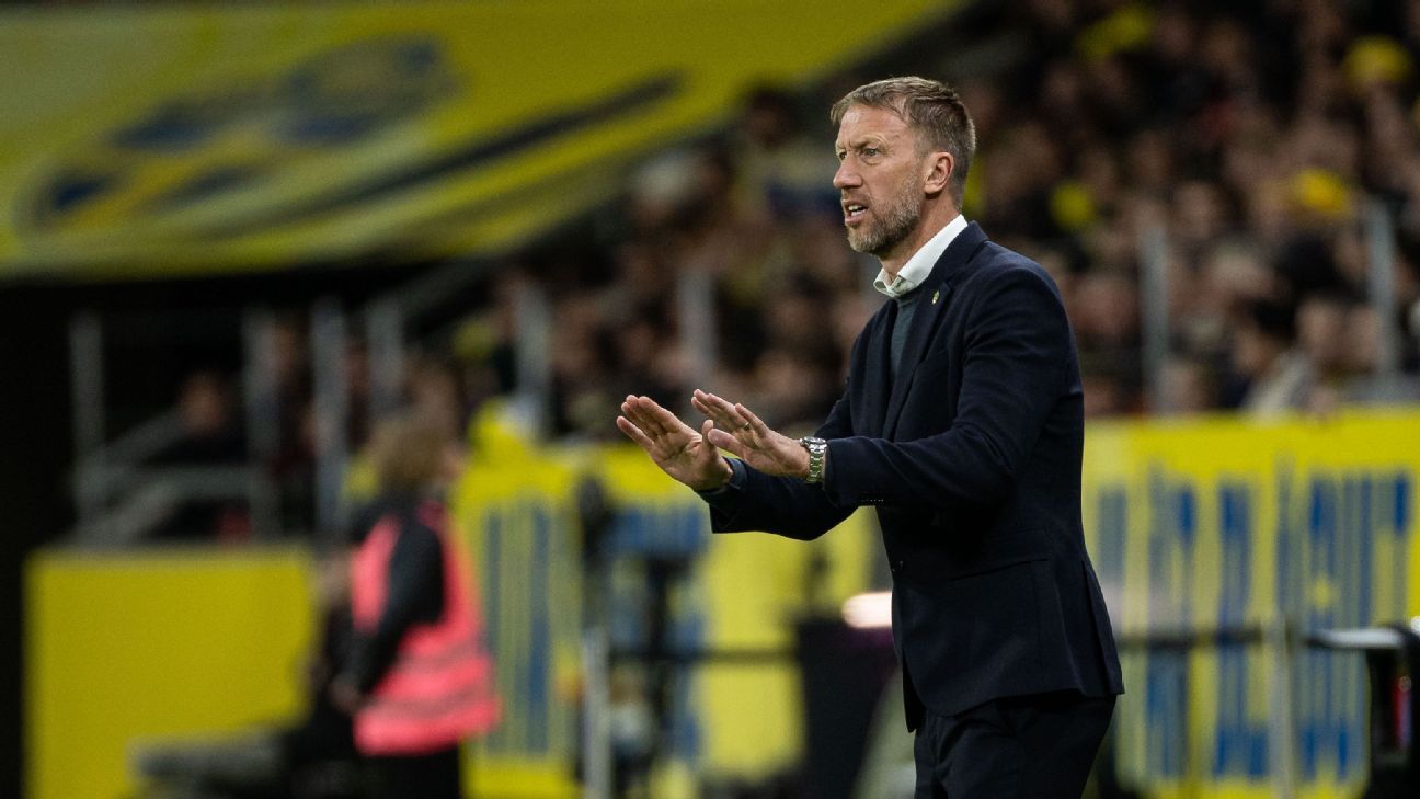 Sweden extend Potter deal despite winless start