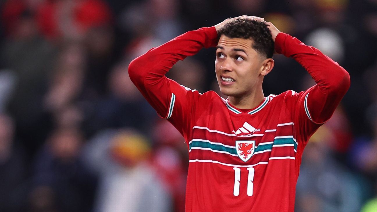 Wales went 'full gas' but paid price in failed World Cup bid