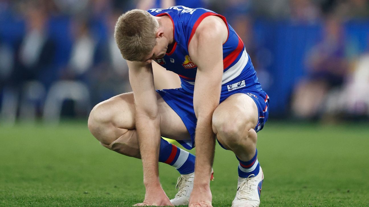 Stars sidelined as Bulldogs count cost of Bombers win