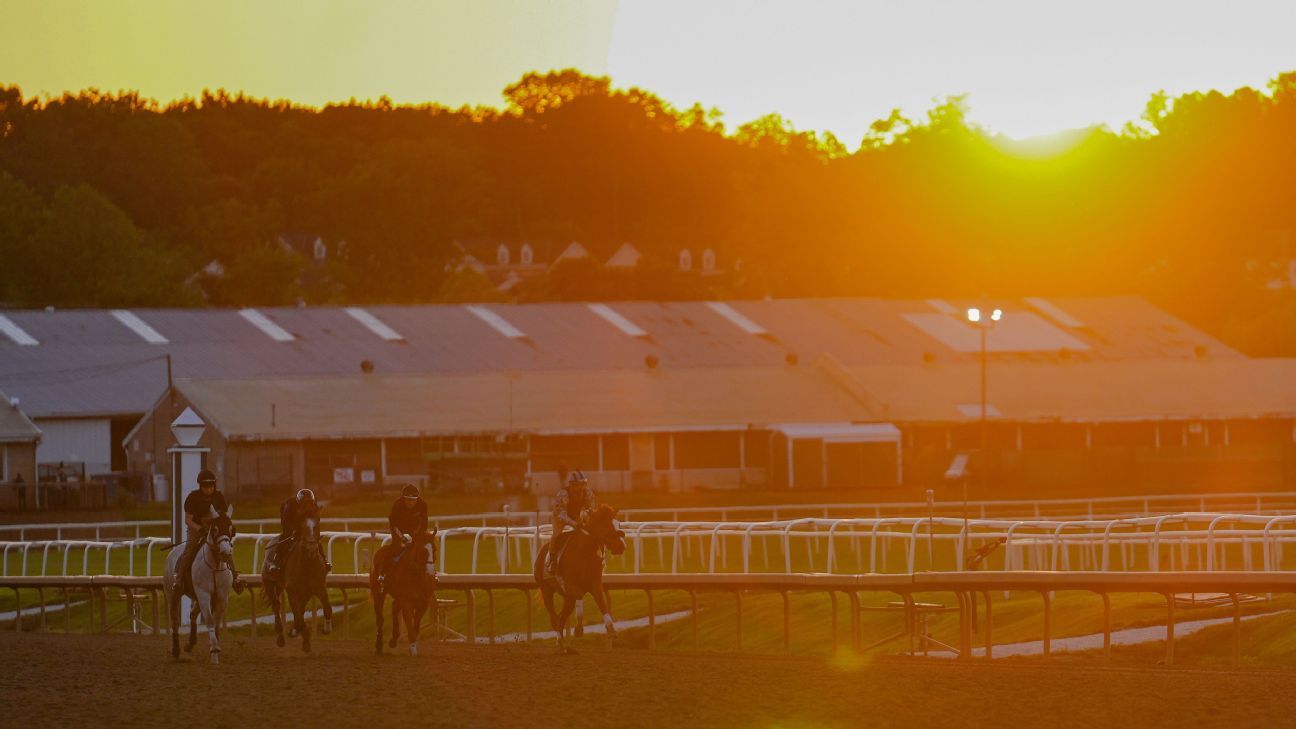 The 2026 Preakness Stakes: the bets, the track and...