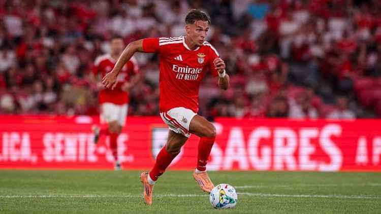 Newcastle deve contratar Amar Dedic, do Benfica, por £ 29,5 milhões – relatório