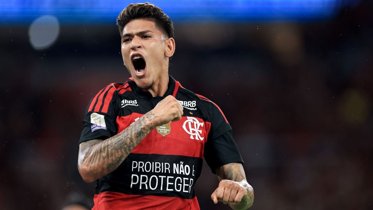Garra Rubro-Negra: Vitória Suada Consolida Liderança nas Chances de Título, Dobrando Vantagem Sobre o Palmeiras!