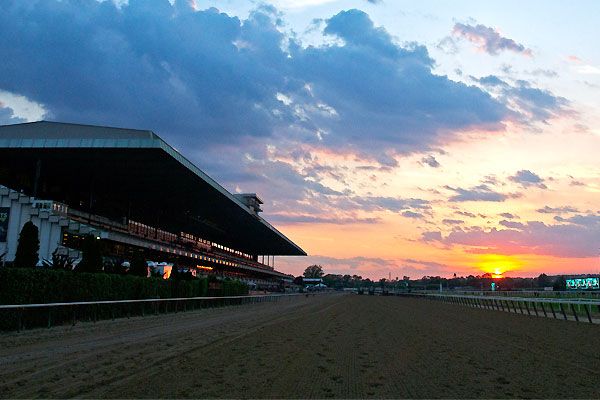 6-year-old horse dies at Belmont Park after injury