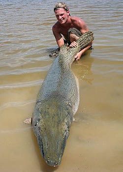The World Record Musky  Biggest Muskies Ever Caught - Wired2Fish