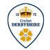 Derbyshire logo