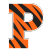 Princeton Logo