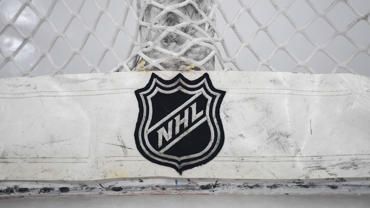 NHL, overall health authorities plotting journey exemption amongst Canada, United States for ultimate two rounds of postseason, report says
