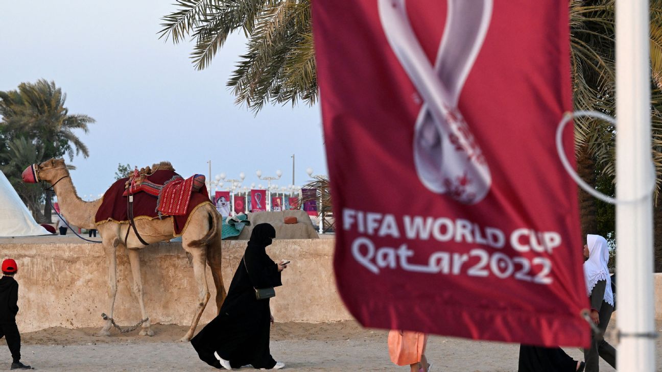 FIFA World Cup Qatar 2022: Schedule, previews and how to watch