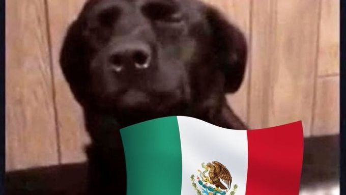 The best memes of the fight between the Mexican national team and Saudi Arabia