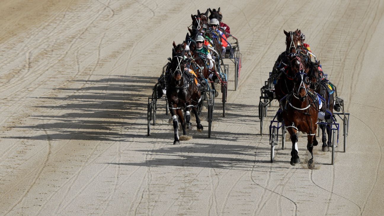 Confederate is harness racing's Horse of the Year
